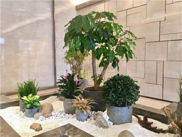 合作案例